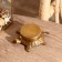 Compass "Turtle" Brass 10x10x3.5 cm