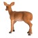Figure Konik "White -tailed deer, female"