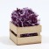 Filler Paper "Eggplant", purple and lilac, 50 g