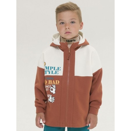 Sweatshirt for boys, height 104 cm, ocher color