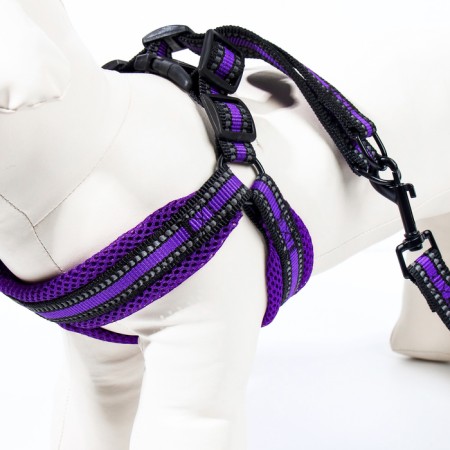 The ammunition set is soft, reflective, leash 120 x 2 cm, Osh 25-72 cm, purple-3