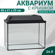 Aquarium rectangular 