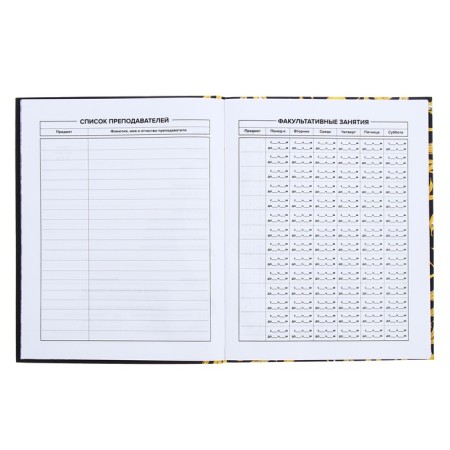 Universal Grade 1-11 Diary, 48 sheets "Art Banan", integral cover, matte lamination, selective UV-fluid-5