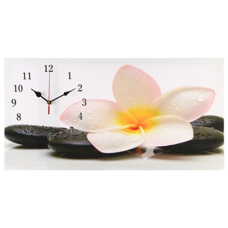 Carty watch is wall-mounted, on canvas, interior, silent "white flower on stones", 40 x 76 cm 20451