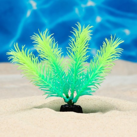 The plant is artificial aquarium, luminous, 10 cm, green