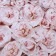 Glossy paper bilateral "peonies", 0.5 x 0.7 m