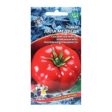 Seeds tomato paw bear 20 pcs.