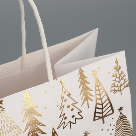 Package gift craft "New Year's time", 22 x 25 x 12 cm, new year-6