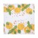 Set of napkins 40*40 cm 2 pcs