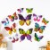 Magnet Plastic "Summer butterflies" set of 12 pcs Mix h = 4.4.5,6,8,9,5,13,5,14.5 cm