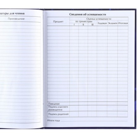 School diary, grade 1-11 in a hard cover, with embossing, 40 l, cold heart-9