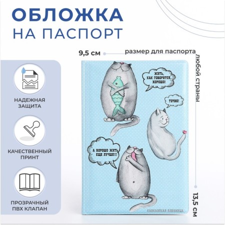 Cover for passport, blue color