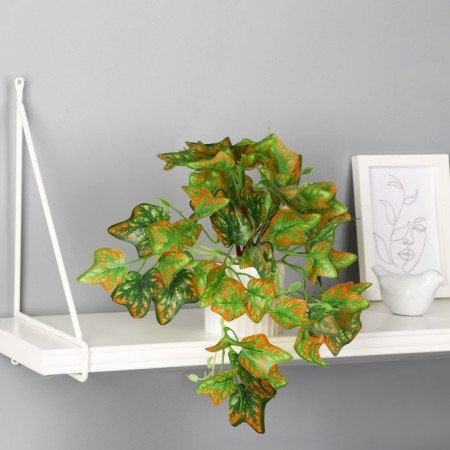 Bonsai in the Pot "Singonium Eleagant" 9x19 cm, green-1