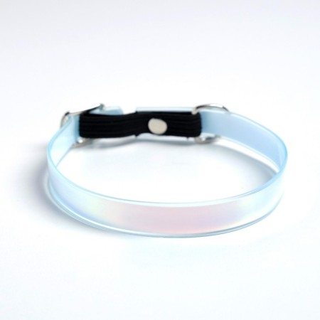 A collar for dogs and cats with Fasteks "Neon", 30 x 1 cm-2