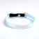 A collar for dogs and cats with Fasteks "Neon", 30 x 1 cm
