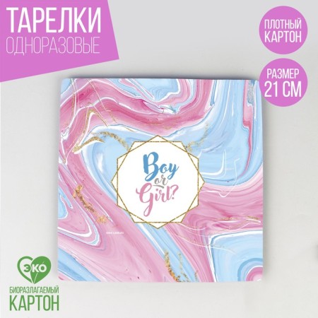 A plate disposable paper square "boy or girl", 21 cm-1