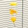 Drill for rodents "Pigzon", 125 ml, yellow