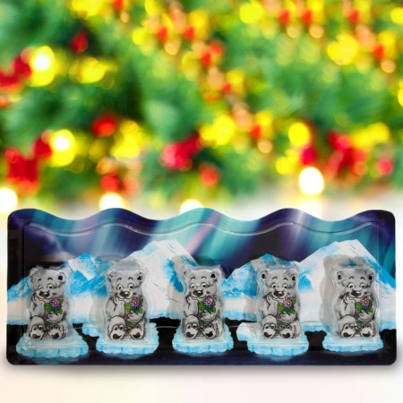 New Year. Farmed candies "Master of Antarctica", 55 g