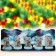 New Year. Farmed candies "Master of Antarctica", 55 g