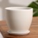 Flower pot "Color Gam" white 0.8l