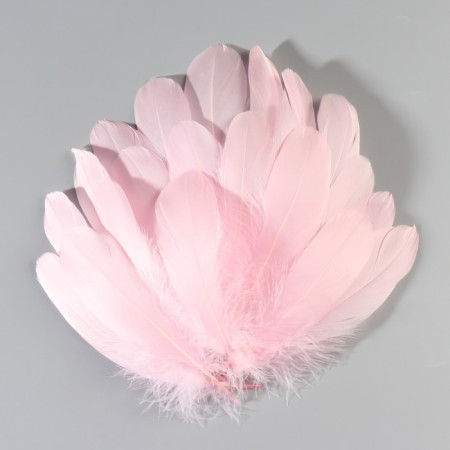 A set of feathers of the goose 13-18 cm, 20 pcs, light pink-1