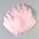 A set of feathers of the goose 13-18 cm, 20 pcs, light pink