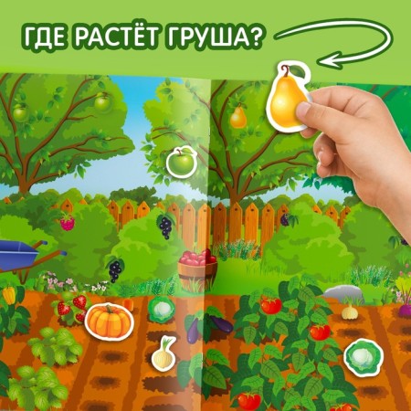 Reusable stickers “what is growing where”, A4 format-4
