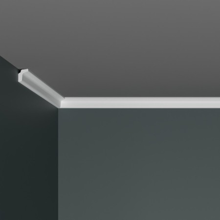 Ceiling skirting board M-25 25x20x2000mm