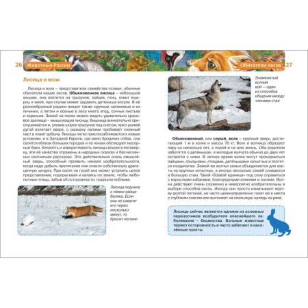 Children's Encyclopedia "Animals of Russia"-4