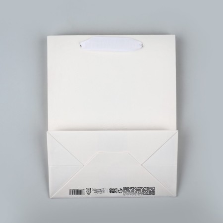 New Year's laminated gift packet "Snowflakes", MS 18 x 23 x 10 cm-4