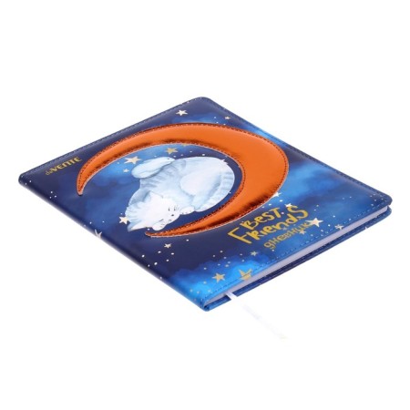 Universal diary for grade 1-11 Best Friends, hard cover, artificial leather, foam rubber, lies, 80 g/m2-1
