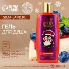 Shower gel Winter Melody, 250 ml, the aroma of the blueberry pie, Ural Lab