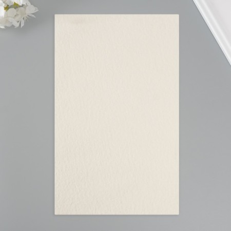 Liszt for creativity claim. Kozh "Lich's drawing" light green sheet 33x20 cm thick 1 mm thick-2