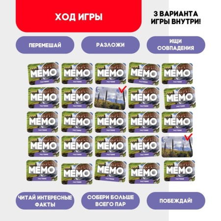 Memo "Plant"-2