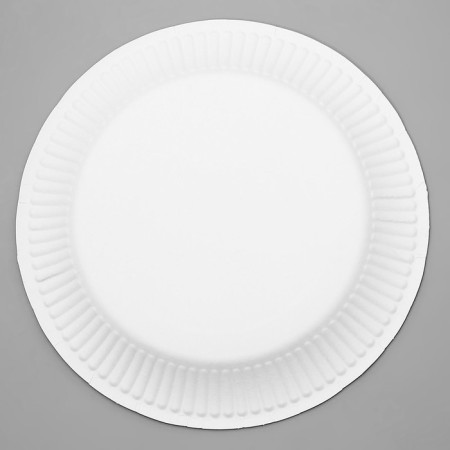Disposable plate paper "Funny unicorns", 18 cm-2