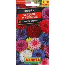 Cornflower flowers 