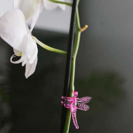 Clips for Plants "Dragonfly", set of 10 pcs., Mix, Greengo-10