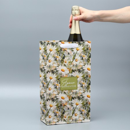 Gift package for two bottles, packaging, “bright moments”, 35 x 20 x 9 cm-1