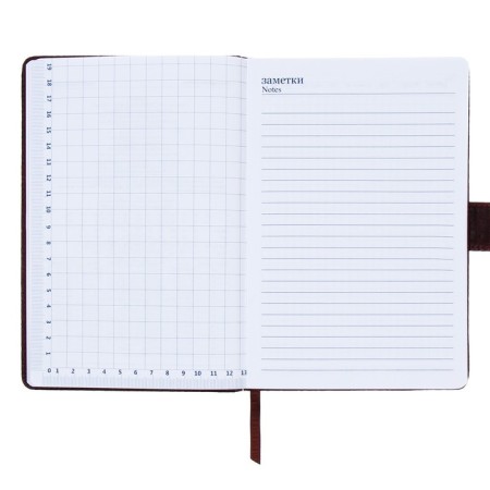 The diary is low, PVC cover, A5 format, 140 sheets in a cage, button, reptile, mix-10