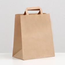 Craft package without printing, flat handle 24 x 14 x 28 cm, set 3 pcs
