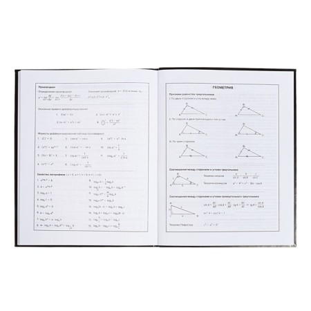 School diary for grades 1-11 "Leo", covered cardboard, glossy lamination, embossing foil, universal cheat sheet, 48 sheets, block 65g/m2-8