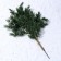 Decor "Branch of charming spruce"