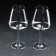 A set of glasses for red wine Corvus, 450 ml, 2 pcs