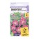 Seeds of flowers Mimulus Maggik "White Flame", this. ALT, c/n, 10 pcs