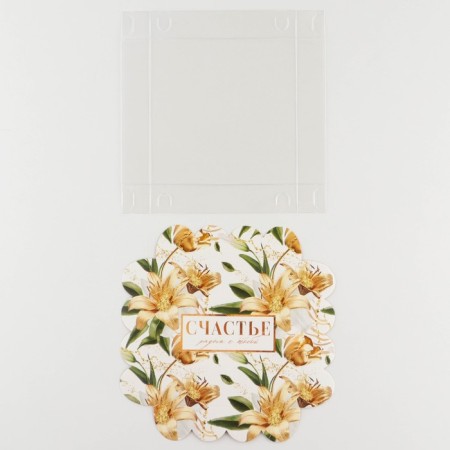 Bearbox, confectionery packaging with PVC lid, “Happiness next to you”, 13 x 13 x 3 cm-4