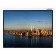 Screen Lumien 153x153 cm, Master Picture LMP-100102, 1: 1, Wall Tree, Rolling, Roll