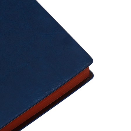 Organizer, A6, 116 sheets, cage, leatherette cover, brown cut, blue-4