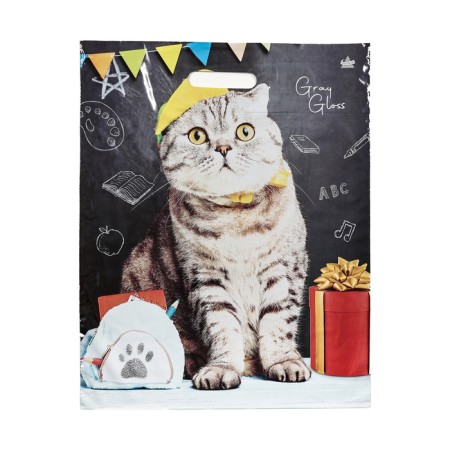 Package "Scientific Cat", polyethylene with a cut pen, 37.5*47.5 cm, 50 μm