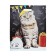 Package "Scientific Cat", polyethylene with a cut pen, 37.5*47.5 cm, 50 μm