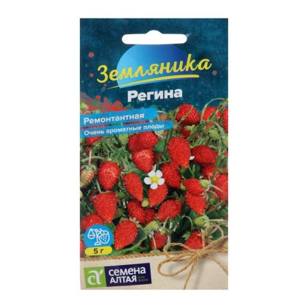 Strawberries "Regina", repairman, sess. ALT, c/p, 0.04 g